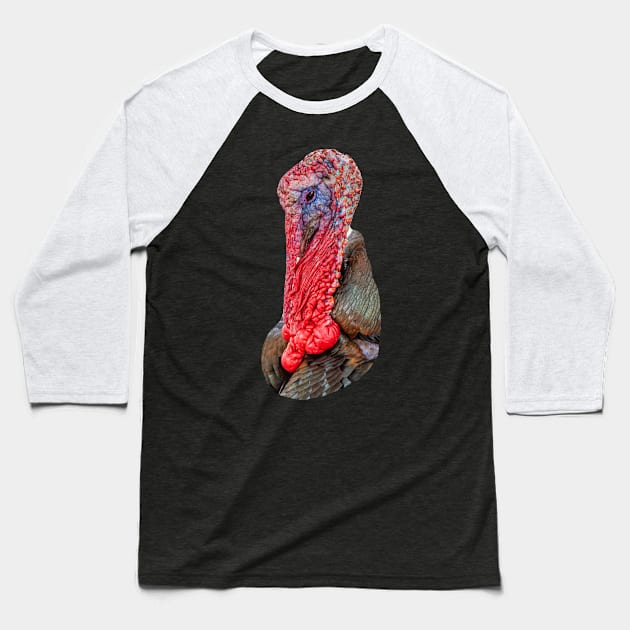 Turkey Gobbler Baseball T-Shirt by dalyndigaital2@gmail.com